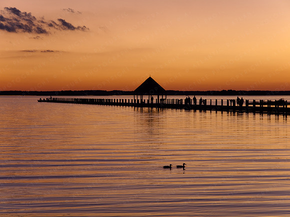 Golden Sunset